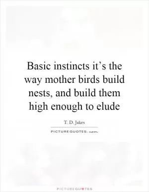 Basic instincts it’s the way mother birds build nests, and build them high enough to elude Picture Quote #1