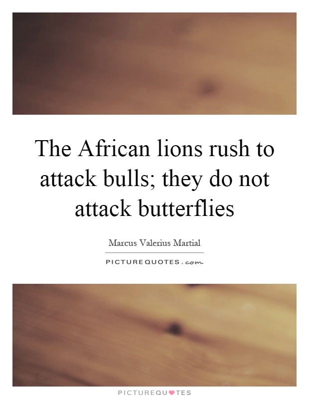 The African lions rush to attack bulls; they do not attack butterflies Picture Quote #1