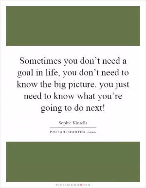 Sometimes you don’t need a goal in life, you don’t need to know the big picture. you just need to know what you’re going to do next! Picture Quote #1