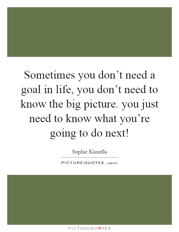 Sometimes you don't need a goal in life, you don't need to know the big picture. you just need to know what you're going to do next! Picture Quote #1