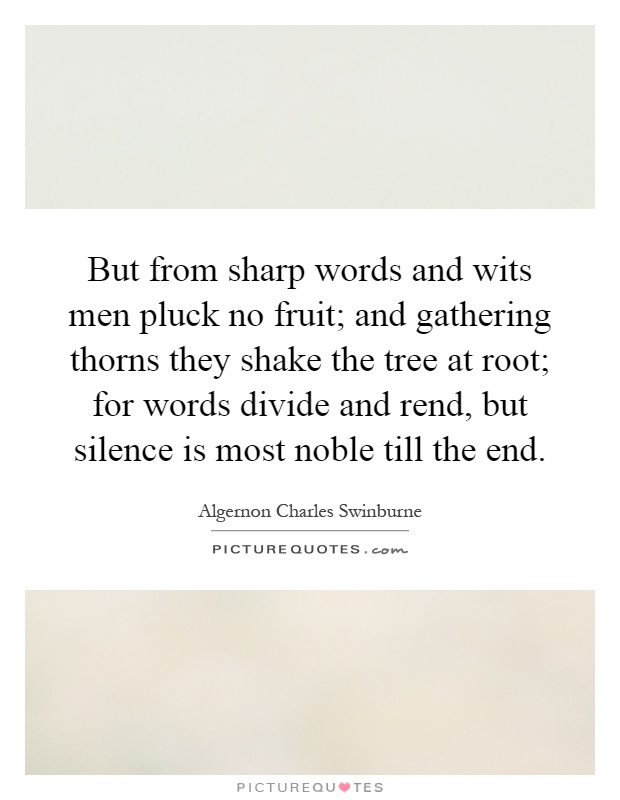 But from sharp words and wits men pluck no fruit; and gathering thorns they shake the tree at root; for words divide and rend, but silence is most noble till the end Picture Quote #1