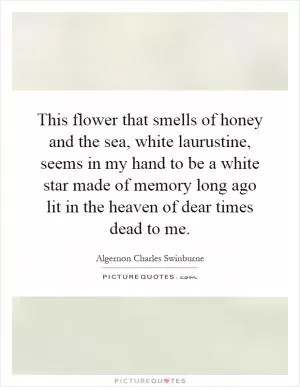 This flower that smells of honey and the sea, white laurustine, seems in my hand to be a white star made of memory long ago lit in the heaven of dear times dead to me Picture Quote #1