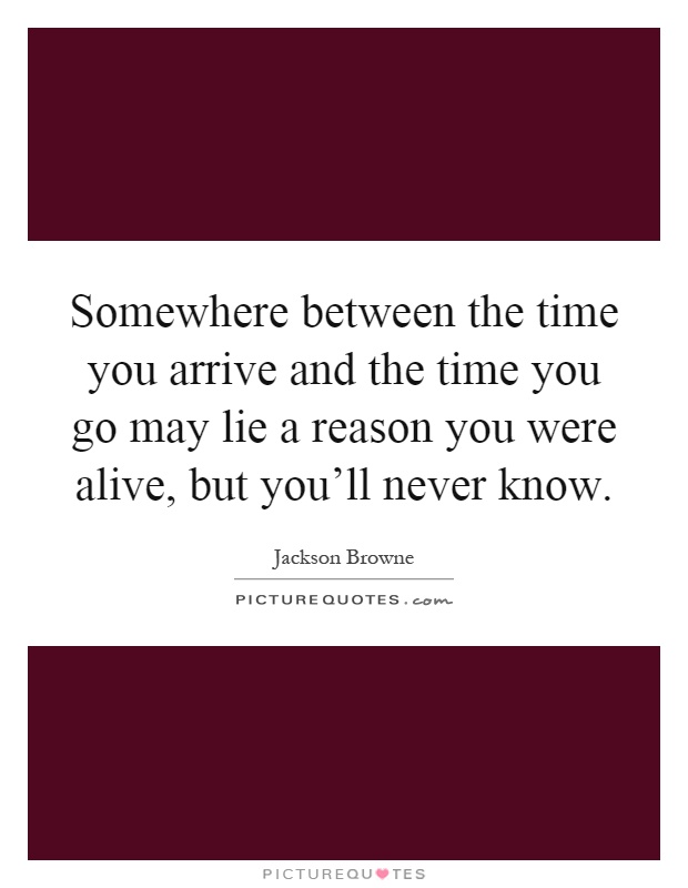 Somewhere between the time you arrive and the time you go may lie a reason you were alive, but you'll never know Picture Quote #1