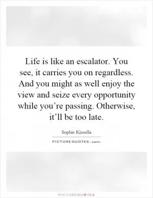 Life is like an escalator. You see, it carries you on regardless. And you might as well enjoy the view and seize every opportunity while you’re passing. Otherwise, it’ll be too late Picture Quote #1