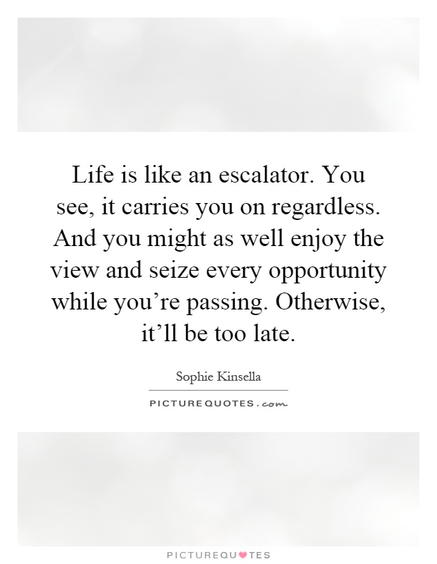 Life is like an escalator. You see, it carries you on regardless. And you might as well enjoy the view and seize every opportunity while you're passing. Otherwise, it'll be too late Picture Quote #1