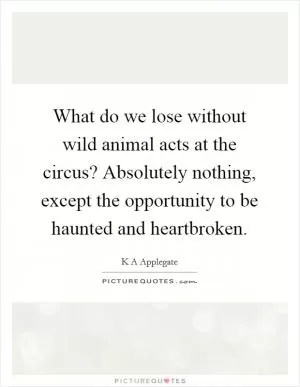 What do we lose without wild animal acts at the circus? Absolutely nothing, except the opportunity to be haunted and heartbroken Picture Quote #1