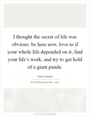 I thought the secret of life was obvious: be here now, love as if your whole life depended on it, find your life’s work, and try to get hold of a giant panda Picture Quote #1