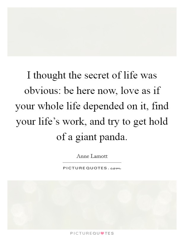 I thought the secret of life was obvious: be here now, love as if your whole life depended on it, find your life's work, and try to get hold of a giant panda. Picture Quote #1