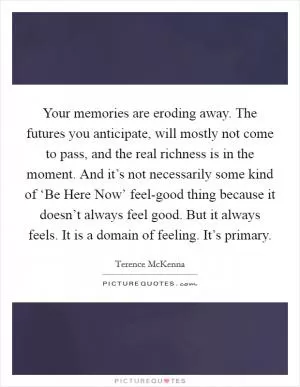 Your memories are eroding away. The futures you anticipate, will mostly not come to pass, and the real richness is in the moment. And it’s not necessarily some kind of ‘Be Here Now’ feel-good thing because it doesn’t always feel good. But it always feels. It is a domain of feeling. It’s primary Picture Quote #1