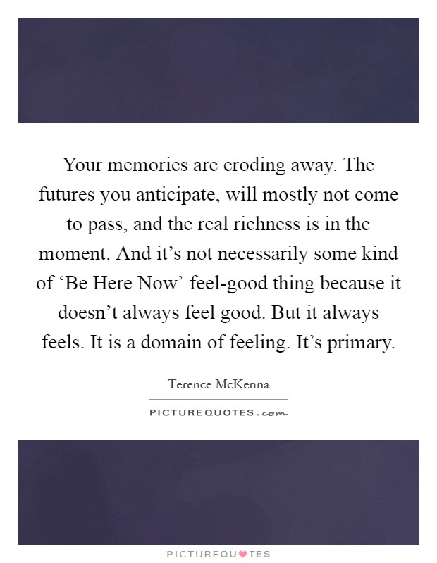 Your memories are eroding away. The futures you anticipate, will mostly not come to pass, and the real richness is in the moment. And it's not necessarily some kind of ‘Be Here Now' feel-good thing because it doesn't always feel good. But it always feels. It is a domain of feeling. It's primary. Picture Quote #1