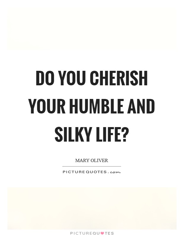 Do you cherish your humble and silky life? Picture Quote #1