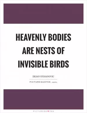 Heavenly bodies are nests of invisible birds Picture Quote #1