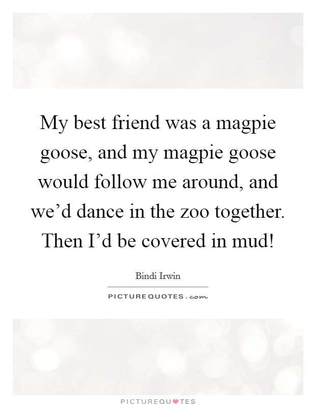 My best friend was a magpie goose, and my magpie goose would follow me around, and we'd dance in the zoo together. Then I'd be covered in mud! Picture Quote #1