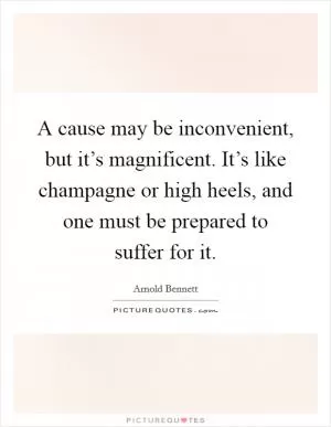 A cause may be inconvenient, but it’s magnificent. It’s like champagne or high heels, and one must be prepared to suffer for it Picture Quote #1