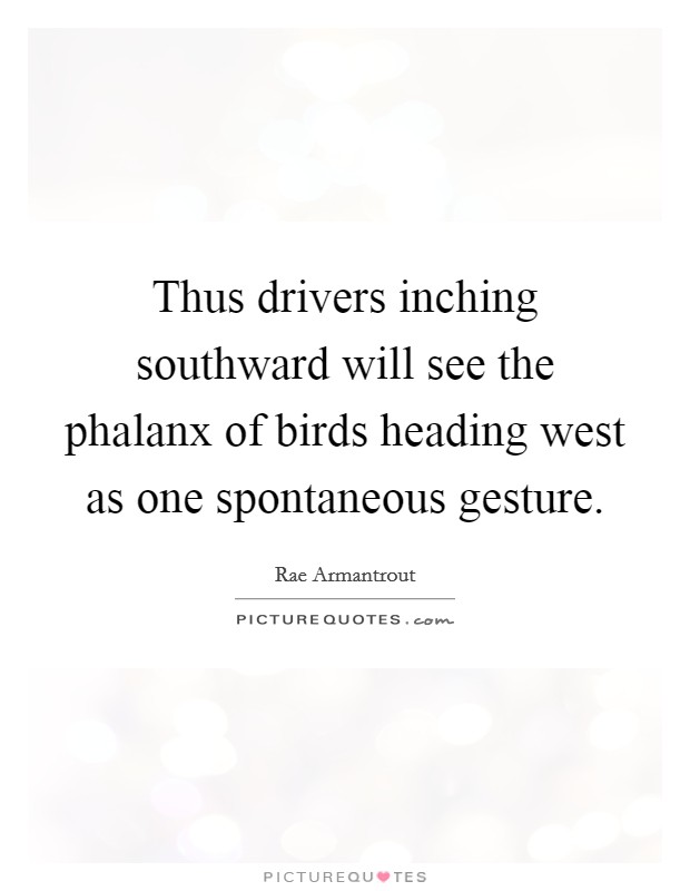 Thus drivers inching southward will see the phalanx of birds heading west as one spontaneous gesture. Picture Quote #1
