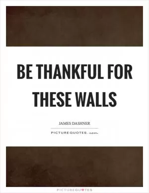 Be thankful for these walls Picture Quote #1