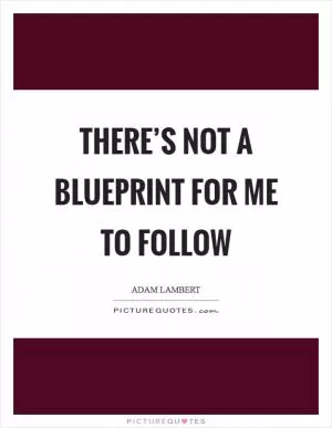 There’s not a blueprint for me to follow Picture Quote #1