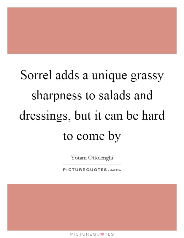 Sorrel adds a unique grassy sharpness to salads and dressings, but it can be hard to come by Picture Quote #1