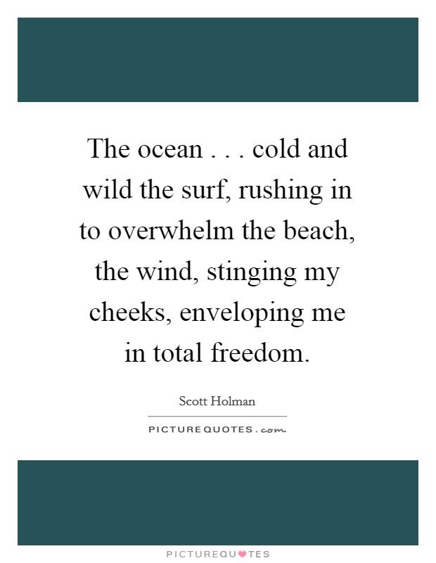 The ocean . . . cold and wild the surf, rushing in to overwhelm the beach, the wind, stinging my cheeks, enveloping me in total freedom. Picture Quote #1