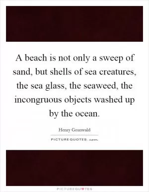 A beach is not only a sweep of sand, but shells of sea creatures, the sea glass, the seaweed, the incongruous objects washed up by the ocean Picture Quote #1