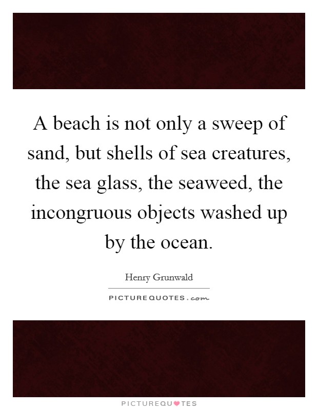 A beach is not only a sweep of sand, but shells of sea creatures, the sea glass, the seaweed, the incongruous objects washed up by the ocean. Picture Quote #1