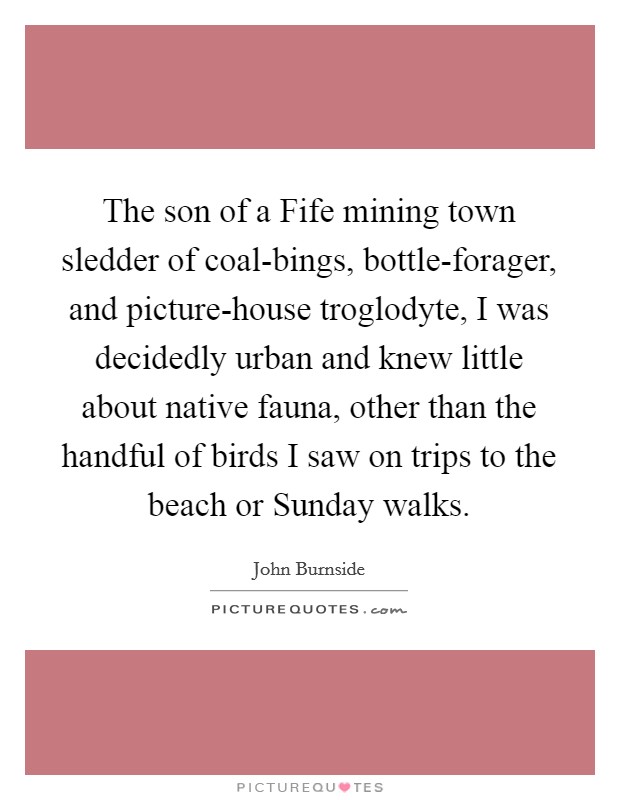 The son of a Fife mining town sledder of coal-bings, bottle-forager, and picture-house troglodyte, I was decidedly urban and knew little about native fauna, other than the handful of birds I saw on trips to the beach or Sunday walks. Picture Quote #1