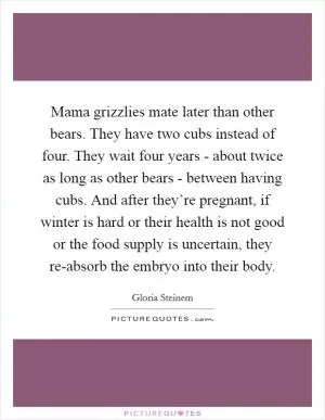 Mama grizzlies mate later than other bears. They have two cubs instead of four. They wait four years - about twice as long as other bears - between having cubs. And after they’re pregnant, if winter is hard or their health is not good or the food supply is uncertain, they re-absorb the embryo into their body Picture Quote #1
