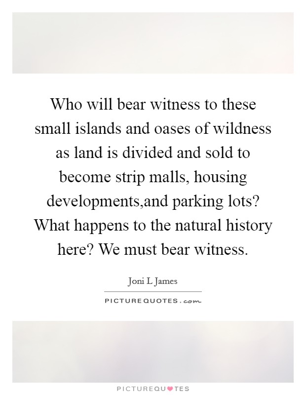 Who will bear witness to these small islands and oases of wildness as land is divided and sold to become strip malls, housing developments,and parking lots? What happens to the natural history here? We must bear witness. Picture Quote #1