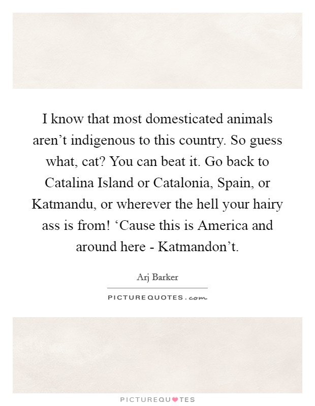 I know that most domesticated animals aren't indigenous to this country. So guess what, cat? You can beat it. Go back to Catalina Island or Catalonia, Spain, or Katmandu, or wherever the hell your hairy ass is from! ‘Cause this is America and around here - Katmandon't. Picture Quote #1