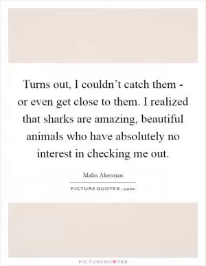 Turns out, I couldn’t catch them - or even get close to them. I realized that sharks are amazing, beautiful animals who have absolutely no interest in checking me out Picture Quote #1