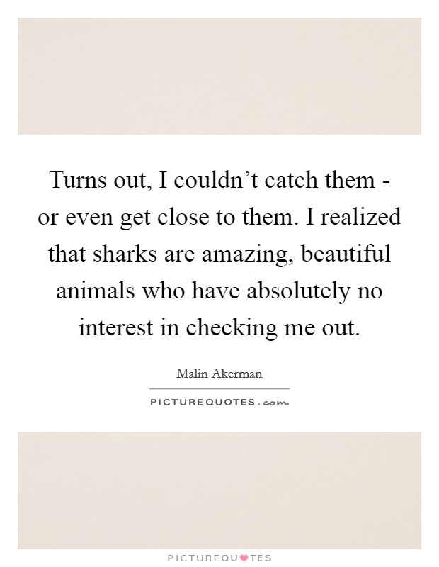 Turns out, I couldn't catch them - or even get close to them. I realized that sharks are amazing, beautiful animals who have absolutely no interest in checking me out. Picture Quote #1