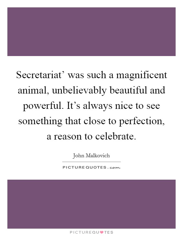 Secretariat' was such a magnificent animal, unbelievably beautiful and powerful. It's always nice to see something that close to perfection, a reason to celebrate. Picture Quote #1