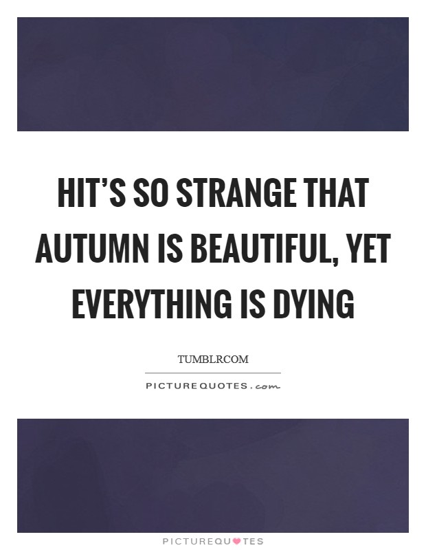 HIt's so strange that autumn is beautiful, yet everything is dying Picture Quote #1
