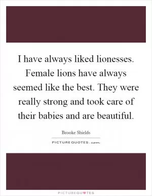 I have always liked lionesses. Female lions have always seemed like the best. They were really strong and took care of their babies and are beautiful Picture Quote #1