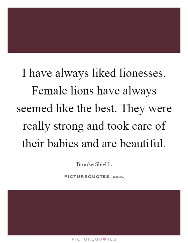 I have always liked lionesses. Female lions have always seemed like the best. They were really strong and took care of their babies and are beautiful. Picture Quote #1