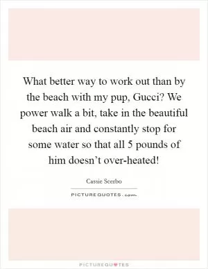What better way to work out than by the beach with my pup, Gucci? We power walk a bit, take in the beautiful beach air and constantly stop for some water so that all 5 pounds of him doesn’t over-heated! Picture Quote #1