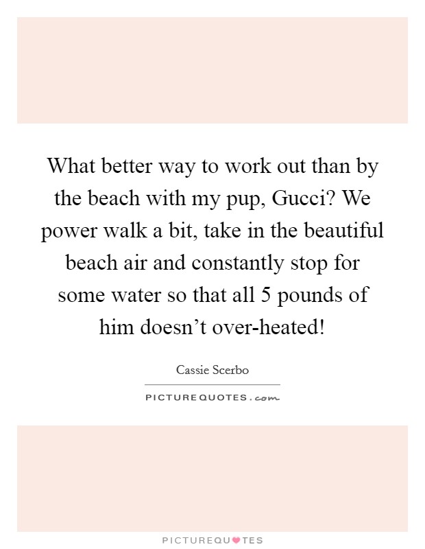 What better way to work out than by the beach with my pup, Gucci? We power walk a bit, take in the beautiful beach air and constantly stop for some water so that all 5 pounds of him doesn't over-heated! Picture Quote #1