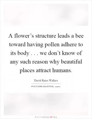 A flower’s structure leads a bee toward having pollen adhere to its body . . . we don’t know of any such reason why beautiful places attract humans Picture Quote #1