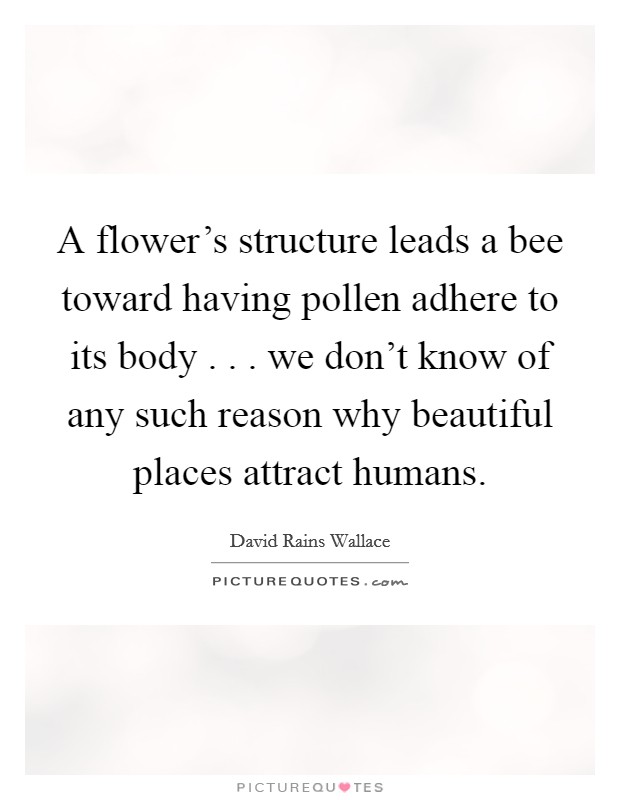 A flower's structure leads a bee toward having pollen adhere to its body . . . we don't know of any such reason why beautiful places attract humans. Picture Quote #1