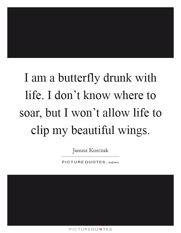 I am a butterfly drunk with life. I don't know where to soar, but I won't allow life to clip my beautiful wings. Picture Quote #1