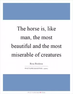 The horse is, like man, the most beautiful and the most miserable of creatures Picture Quote #1