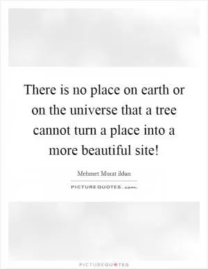There is no place on earth or on the universe that a tree cannot turn a place into a more beautiful site! Picture Quote #1