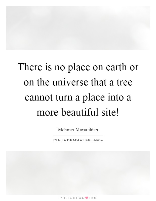 There is no place on earth or on the universe that a tree cannot turn a place into a more beautiful site! Picture Quote #1