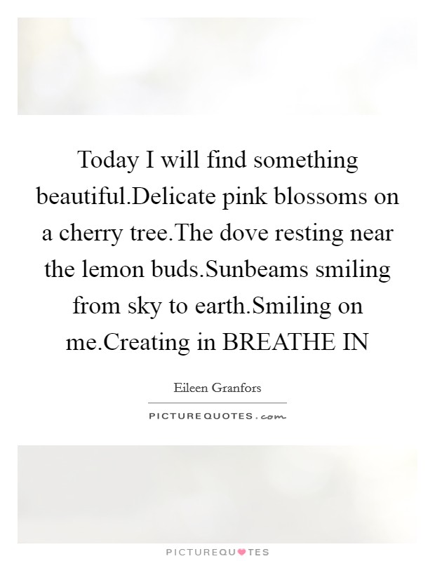 Today I will find something beautiful.Delicate pink blossoms on a cherry tree.The dove resting near the lemon buds.Sunbeams smiling from sky to earth.Smiling on me.Creating in BREATHE IN Picture Quote #1
