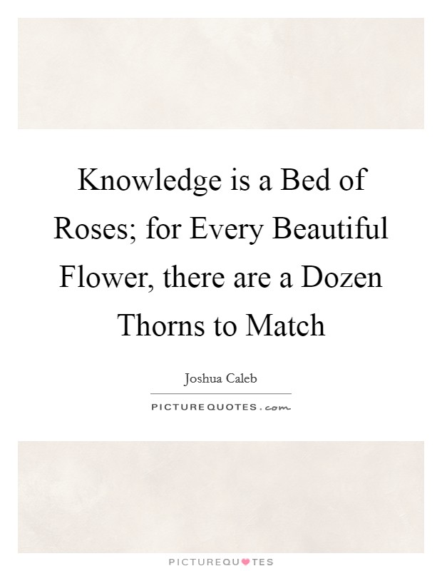 Knowledge is a Bed of Roses; for Every Beautiful Flower, there are a Dozen Thorns to Match Picture Quote #1