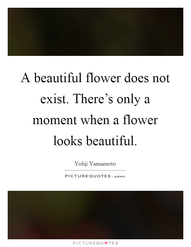 A beautiful flower does not exist. There's only a moment when a flower looks beautiful. Picture Quote #1