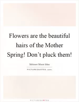 Flowers are the beautiful hairs of the Mother Spring! Don’t pluck them! Picture Quote #1