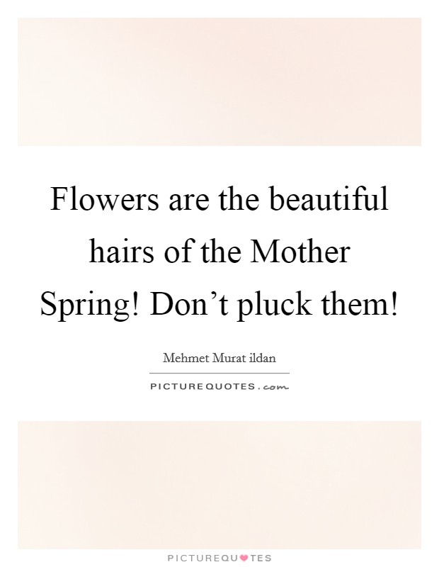 Flowers are the beautiful hairs of the Mother Spring! Don't pluck them! Picture Quote #1