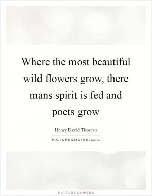 Where the most beautiful wild flowers grow, there mans spirit is fed and poets grow Picture Quote #1