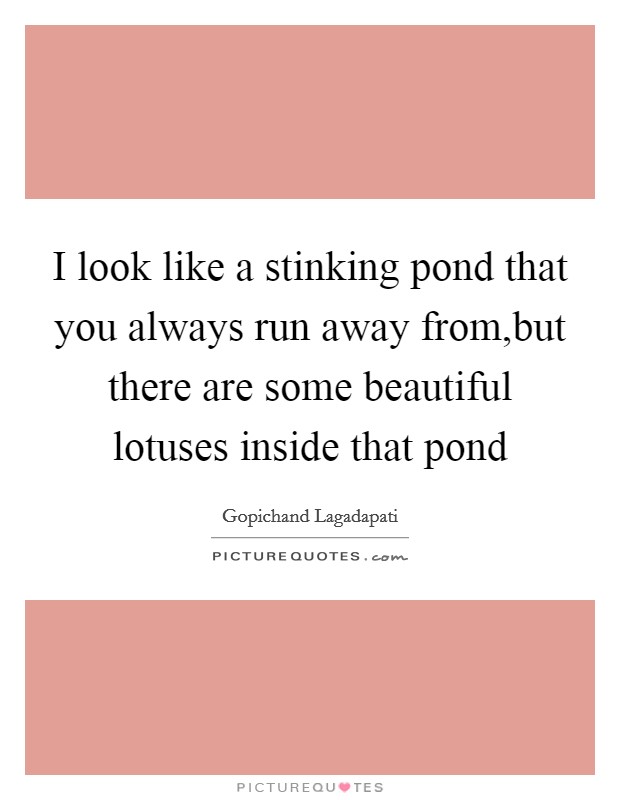 I look like a stinking pond that you always run away from,but there are some beautiful lotuses inside that pond Picture Quote #1